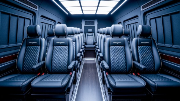 sprinter van with driver rental yuba city
